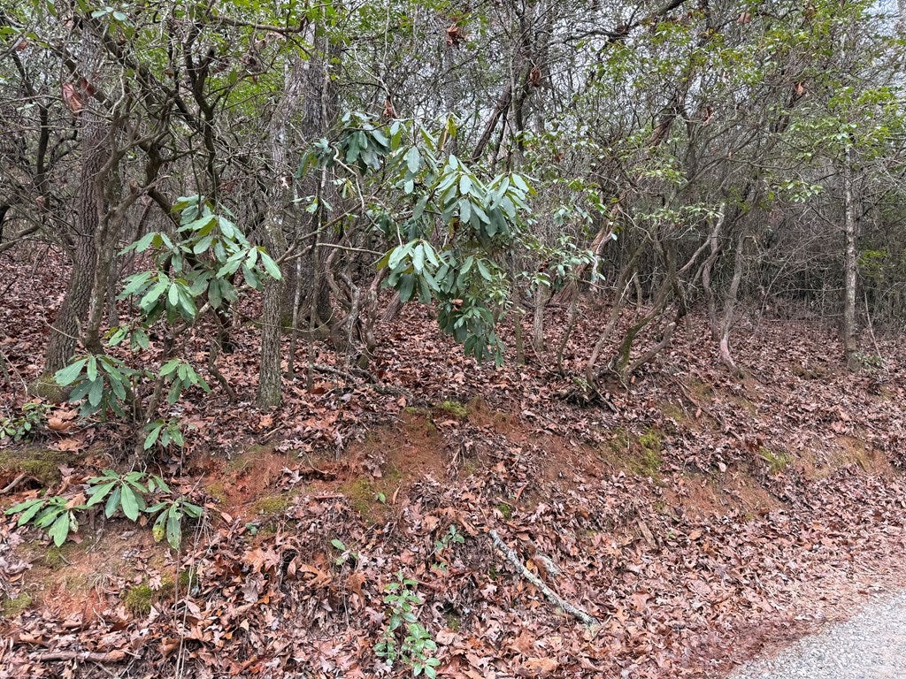 Lot 20 Ideal Acres