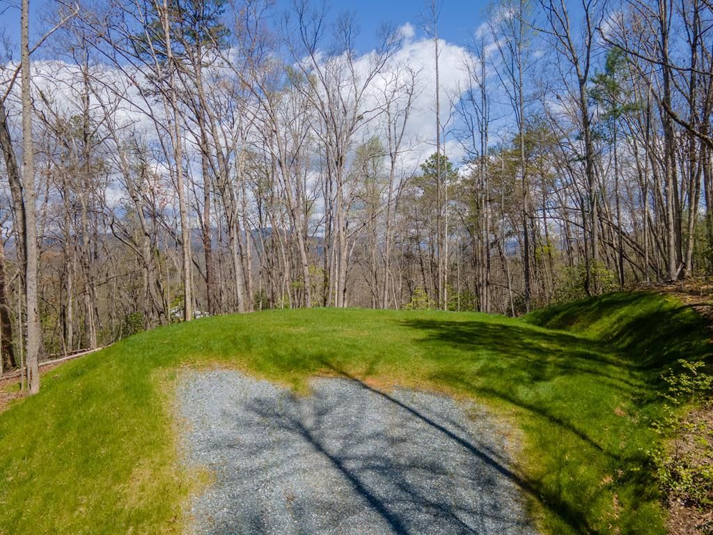 Photo of Lot 16 Bryson Gap Preserve Walk, Bryson City, NC 28713 (MLS # 26036761)