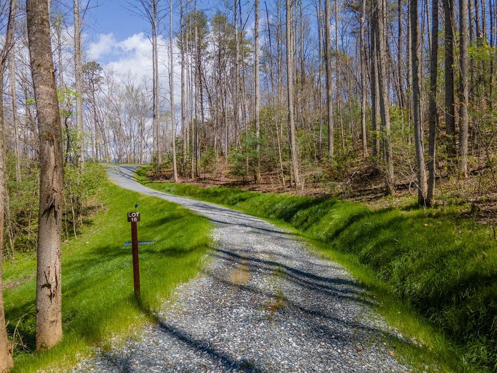 Photo of Lot 16 Bryson Gap Preserve Walk, Bryson City, NC 28713 (MLS # 26036761)