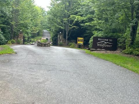 Photo of Lot 54 Lyle Mountain Trail, Franklin, NC 28734 (MLS # 26041955)