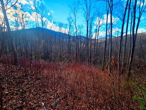 Photo of 900 Fern Trail, Waynesville, NC 28786 (MLS # 26046536)