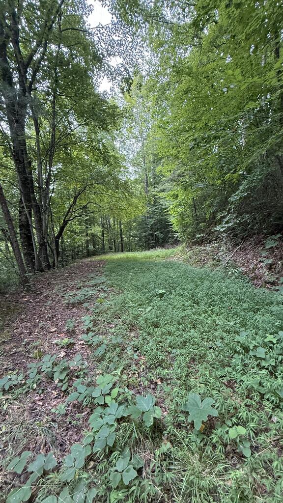 Photo of Lot 73 Fox Run Ridge, Bryson City, NC 28713 (MLS # 26048290)