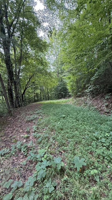 Photo of Lot 73 Fox Run Ridge, Bryson City, NC 28713 (MLS # 26048290)