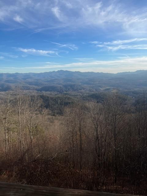 Photo of 2712 Lyle Knob Rd, Franklin, NC 28734 (MLS # 26045304)