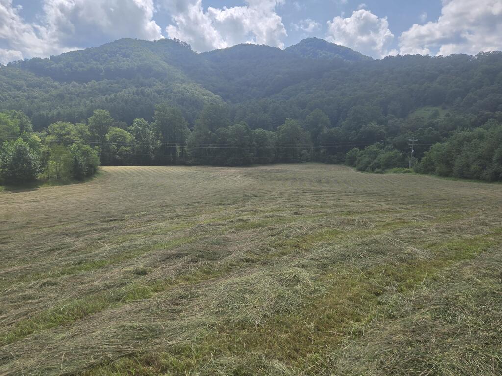 Photo of 0000 Hwy 107, Tuckasegee, NC 28783 (MLS # 26048348)