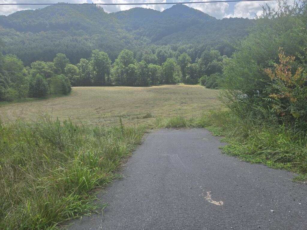 Photo of 0000 Hwy 107, Tuckasegee, NC 28783 (MLS # 26048348)