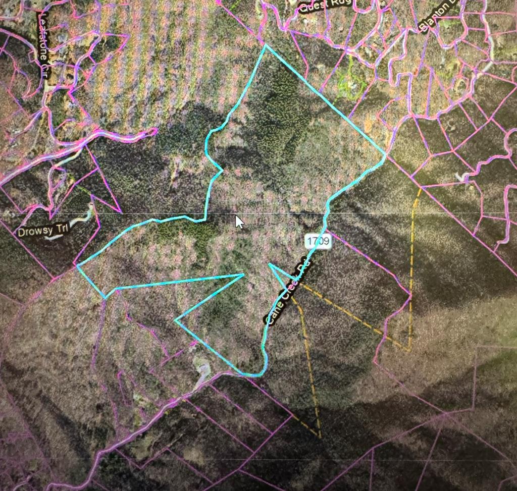 Photo of Tract B Cane Creek Road, Sylva, NC 28779 (MLS # 26047503)