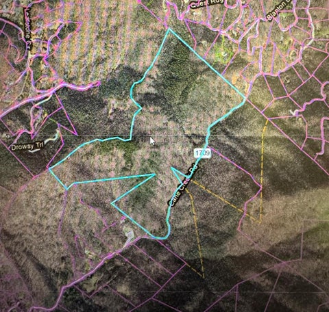 Photo of Tract B Cane Creek Road, Sylva, NC 28779 (MLS # 26047503)