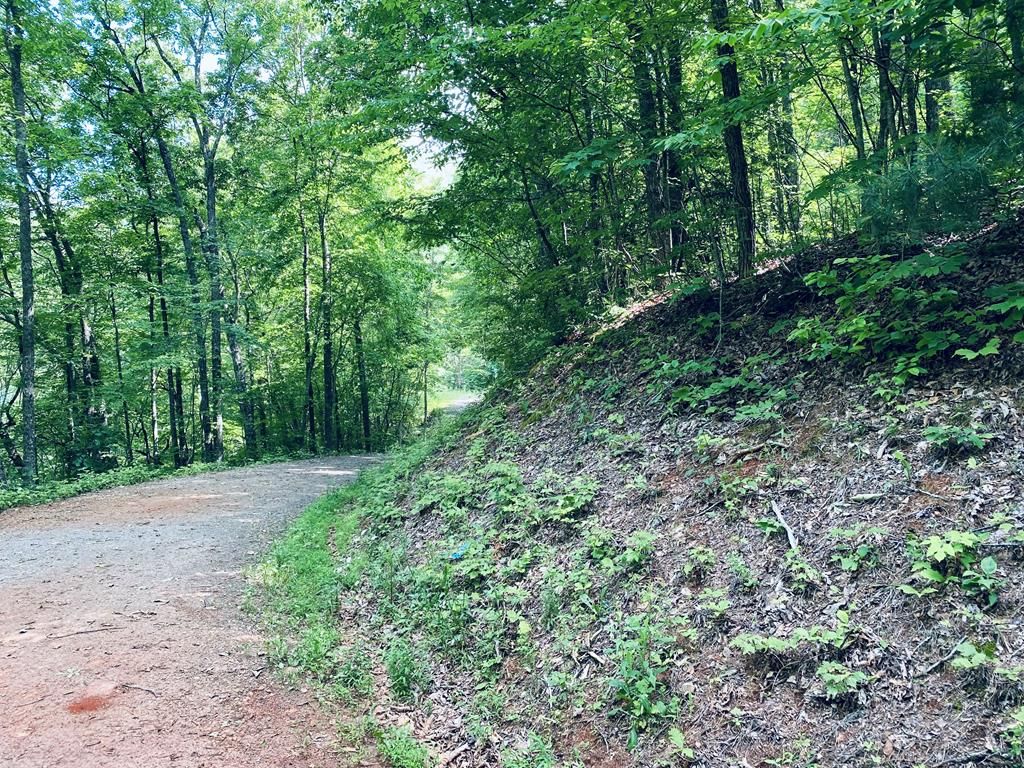 Photo of Lot 46 Hartwell Ln, Whittier, NC 28789 (MLS # 26041128)