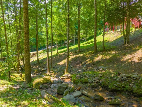 Photo of 77 Pigeon Creek Trail, Bryson City, NC 28713 (MLS # 26047563)