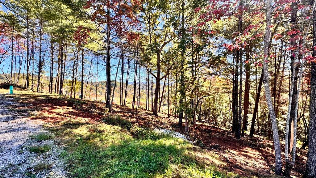 Lot 73 Village Circle East & Chapel Hill
