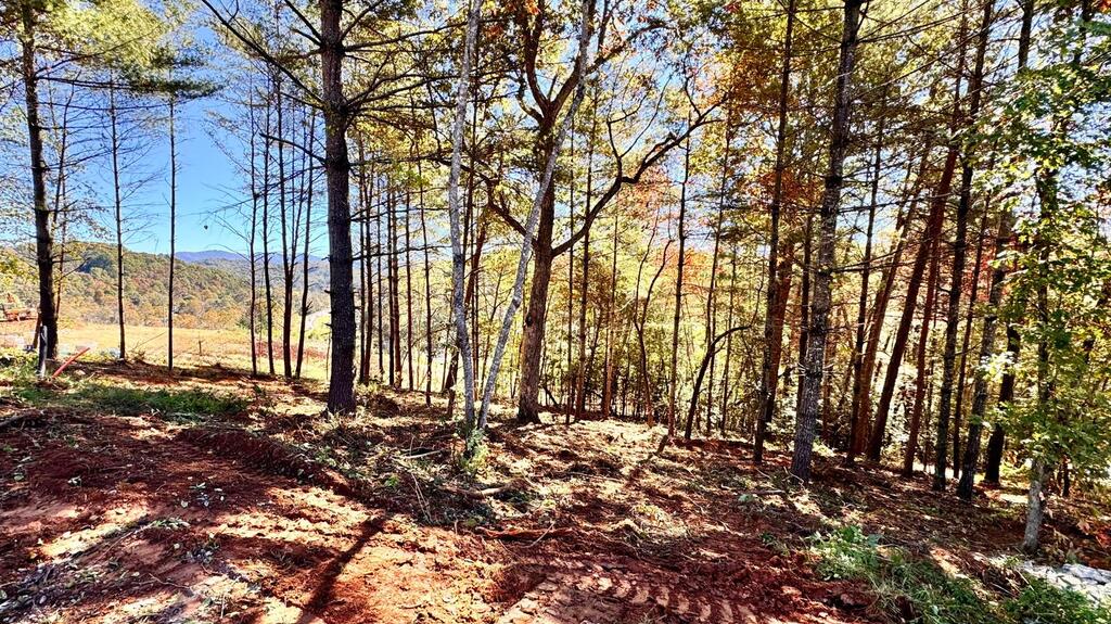 Lot 73 Village Circle East & Chapel Hill