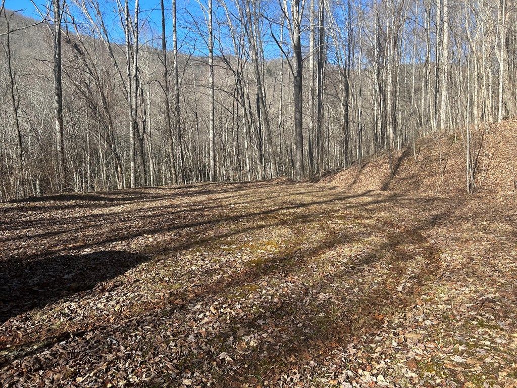Photo of Lot 20 Long Creek Lane, Bryson City, NC 28713 (MLS # 26041507)
