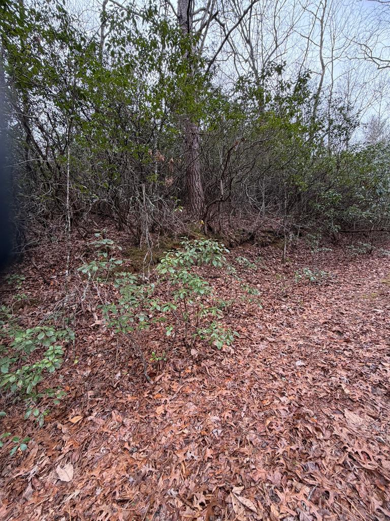 00 Willow Pond Rd