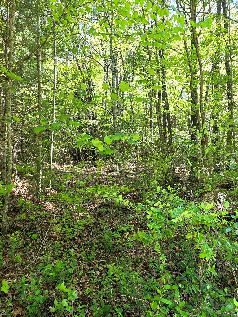 00 Vincent Colvin Road