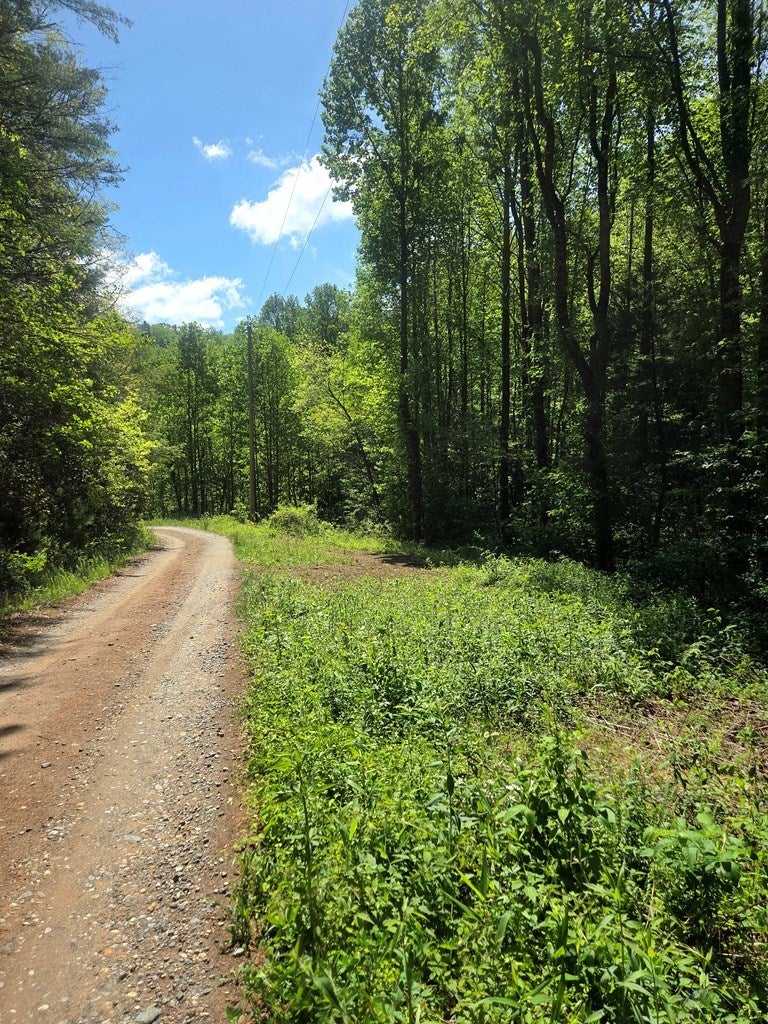 00 Vincent Colvin Road