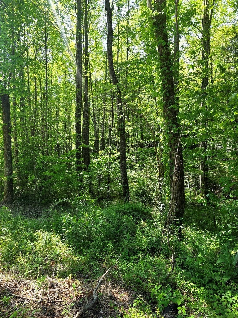 00 Vincent Colvin Road