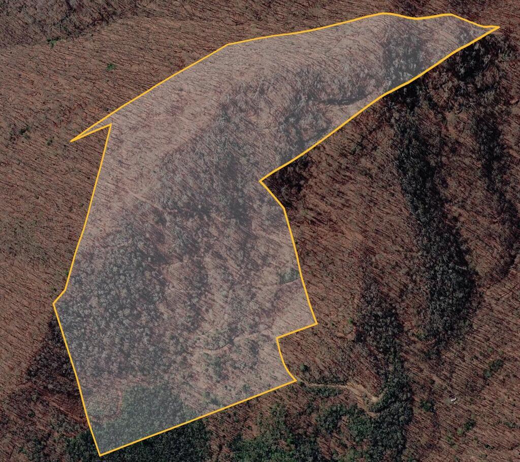 Photo of 0 Wiggins Creek Rd, Bryson City, NC 28713 (MLS # 26048715)