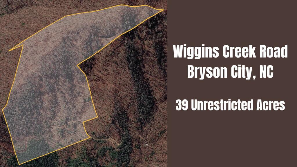 Photo of 0 Wiggins Creek Rd, Bryson City, NC 28713 (MLS # 26048715)