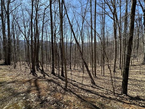 Photo of Lot 7 Eagle Pt, Franklin, NC 28734 (MLS # 26046933)