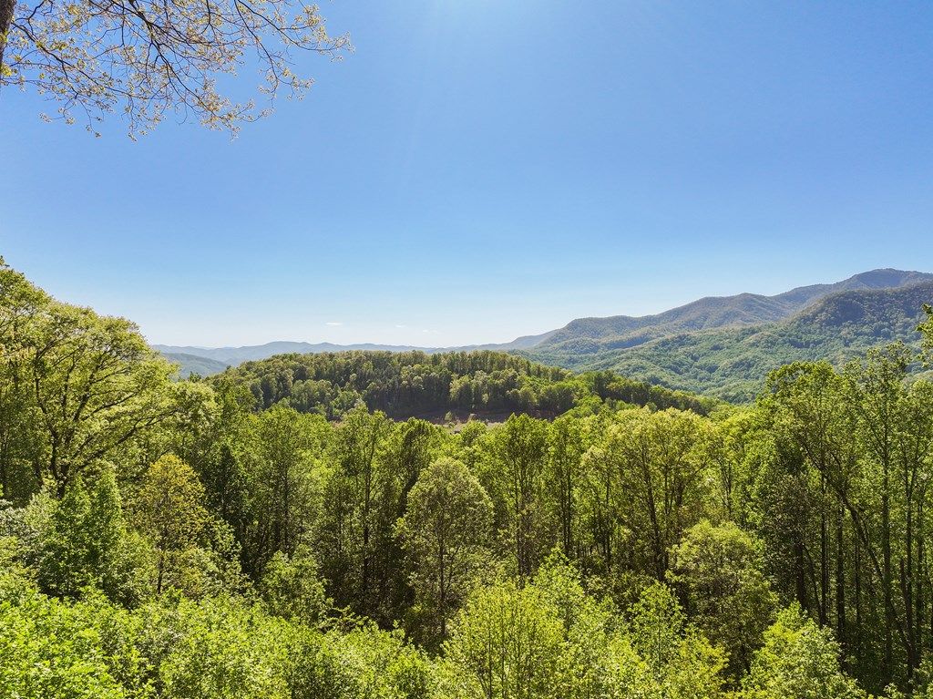 Photo of 479 Old Dummy Line Rd, Balsam, NC 28707 (MLS # 26047185)