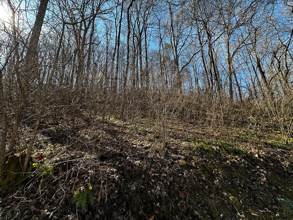 Photo of Lot 11 Blue Mist Mountain, Whittier, NC 28789 (MLS # 26045342)