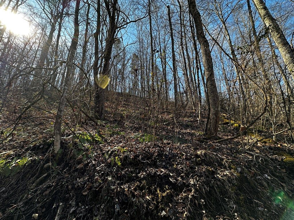 Photo of Lot 11 Blue Mist Mountain, Whittier, NC 28789 (MLS # 26045342)