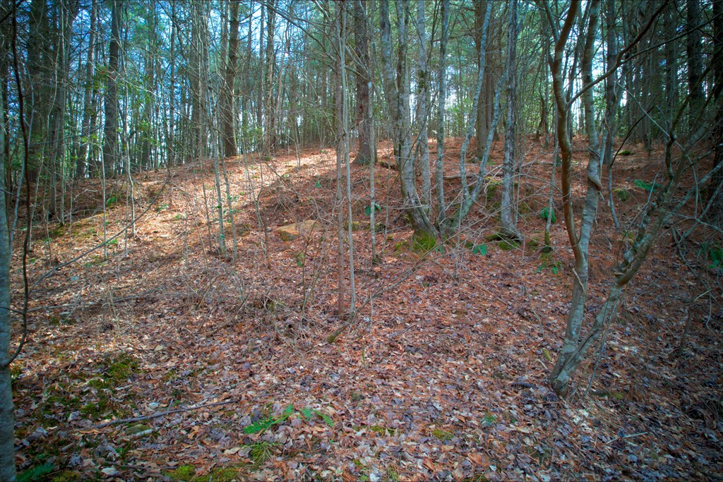 Lot 62 Choctaw Ridge Trail