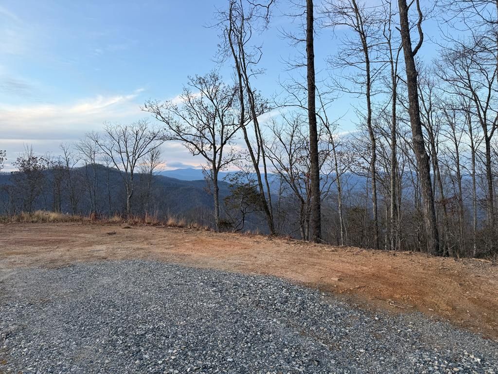 Photo of 701 Cardinal Bluff, Whittier, NC 28789 (MLS # 26042769)