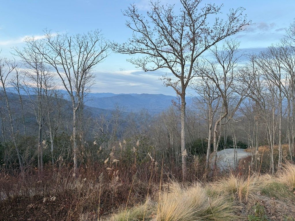 Photo of 701 Cardinal Bluff, Whittier, NC 28789 (MLS # 26042769)