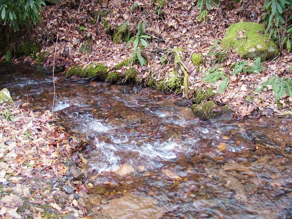 Photo of TBD Wedgewood Cove, Sylva, NC 28779 (MLS # 26041766)