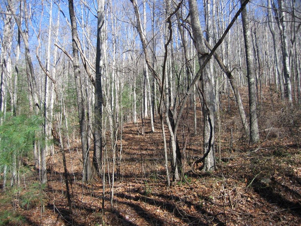 Photo of TBD Wedgewood Cove, Sylva, NC 28779 (MLS # 26041766)