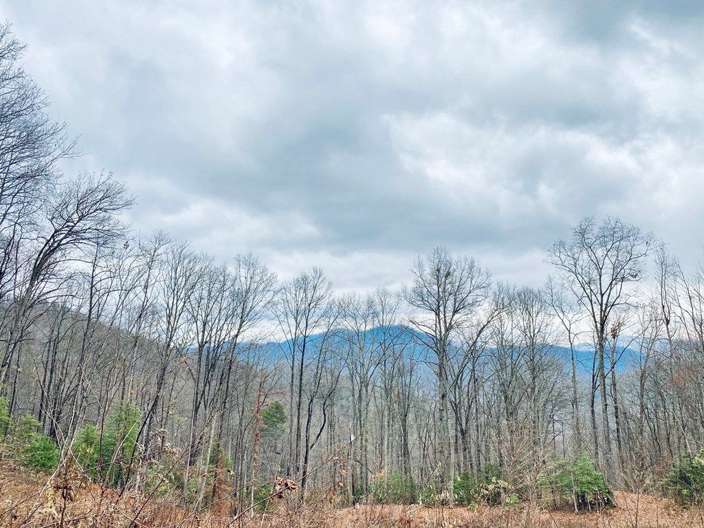 Photo of Lt 1Sec5 Parchment Ln, Sylva, NC 28779 (MLS # 26042799)