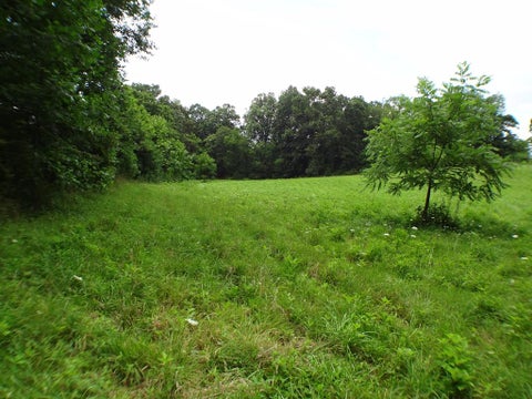 Featured picture for the property 26037225