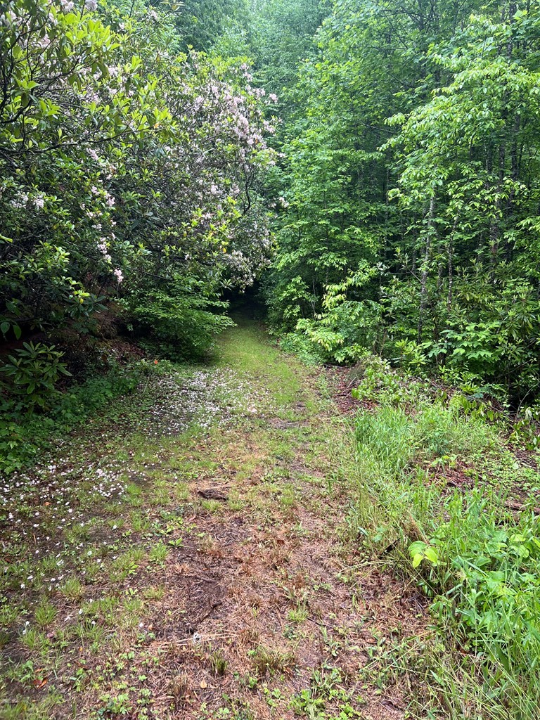 Lot 19 Cabin Creek