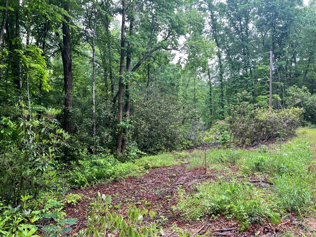Lot 19 Cabin Creek