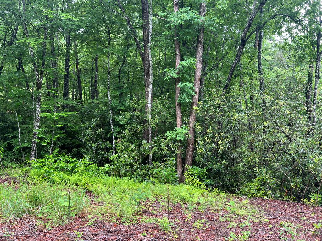 Lot 19 Cabin Creek
