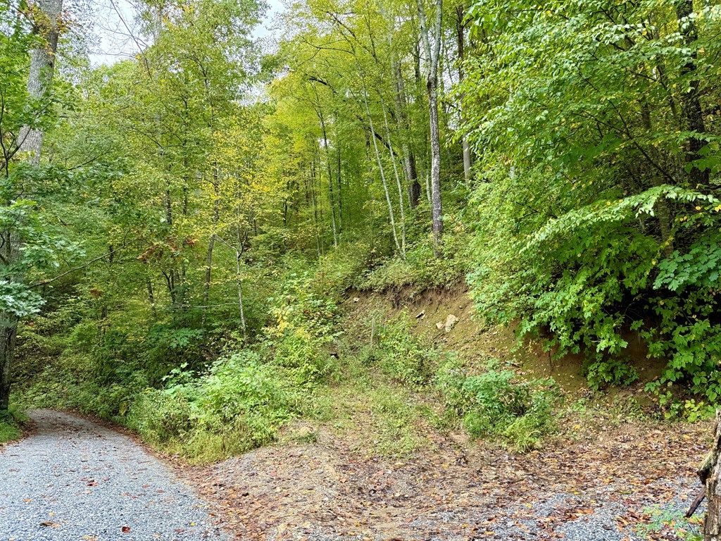 Photo of 0 Shepherds Dr, Glenville, NC 28736 (MLS # 26042377)