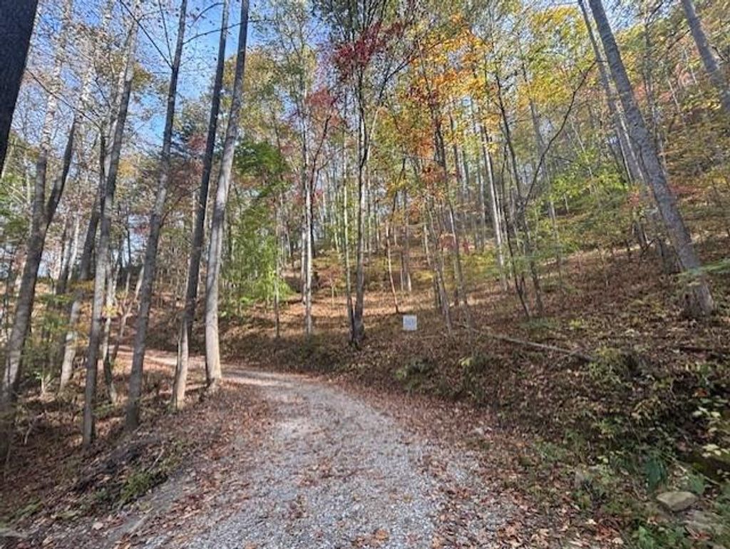 Photo of 0 Cheoah View Rd, Bryson City, NC 28713 (MLS # 26042504)