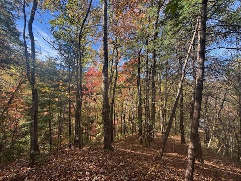 Photo of 0 Cheoah View Rd, Bryson City, NC 28713 (MLS # 26042504)