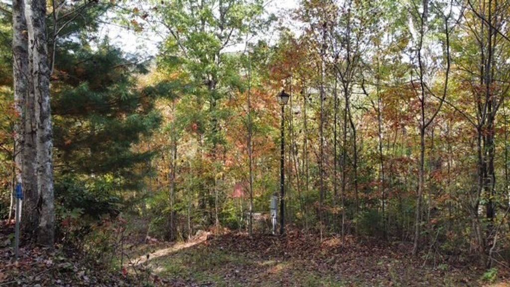 Photo of 231 Quilt Dr, Tuckasegee, NC 28783 (MLS # 26042835)