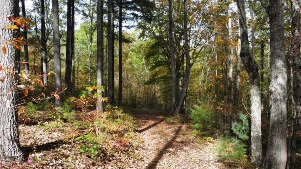 Photo of 231 Quilt Dr, Tuckasegee, NC 28783 (MLS # 26042835)