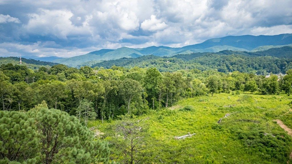 Photo of 46 Herbert Ln, Bryson City, NC 28713 (MLS # 26041693)