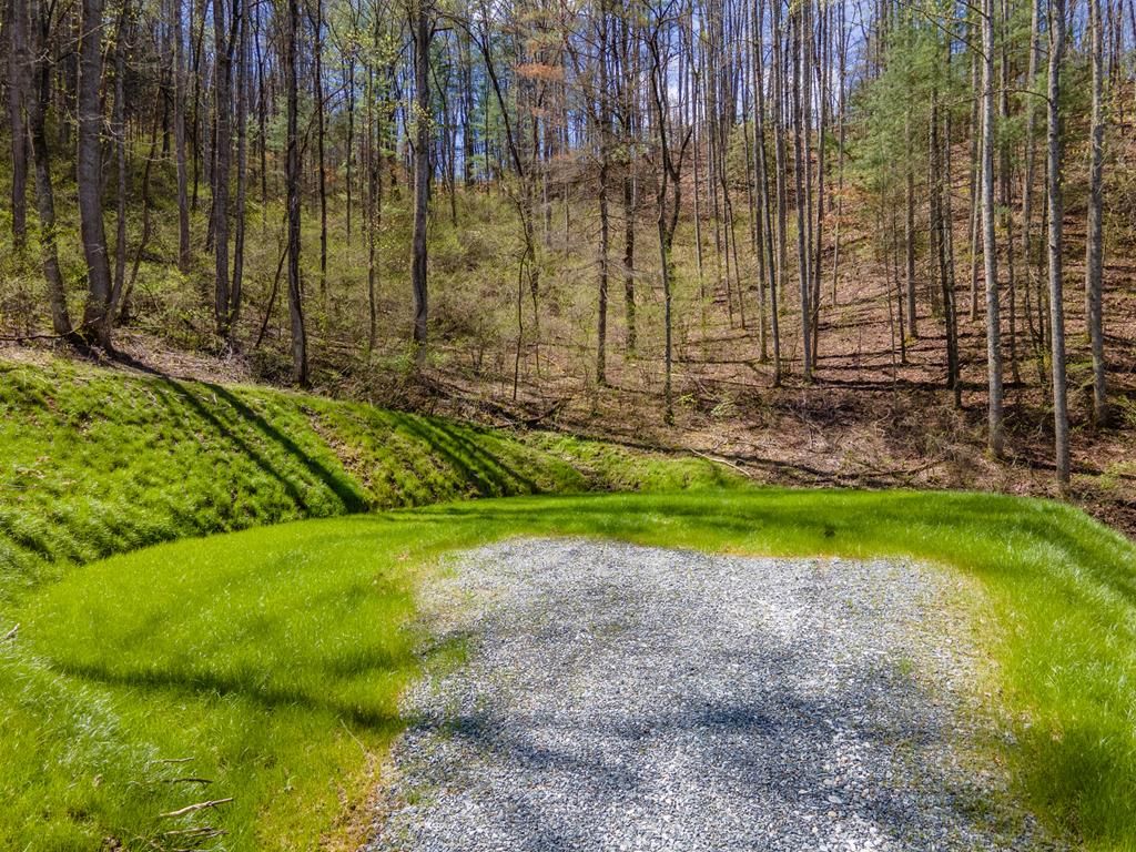Photo of Lot 14 Bryson Gap Preserve Walk, Bryson City, NC 28713 (MLS # 26036758)