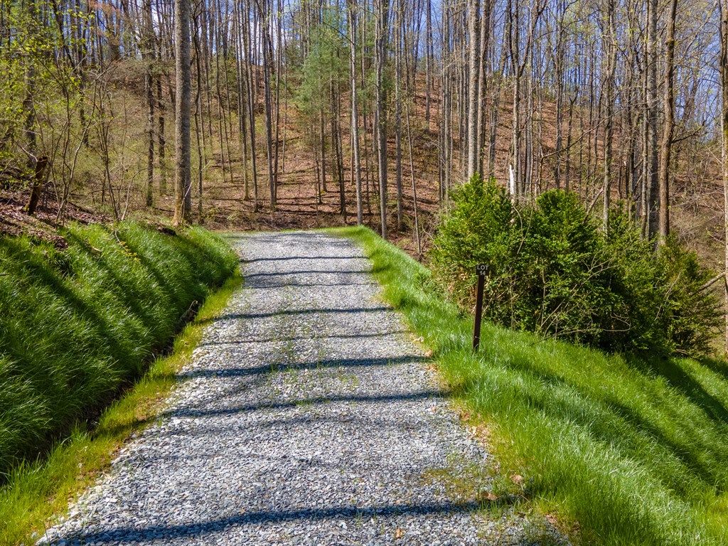 Photo of Lot 14 Bryson Gap Preserve Walk, Bryson City, NC 28713 (MLS # 26036758)