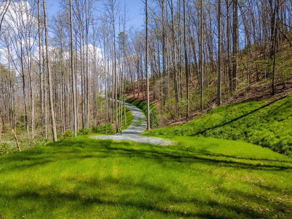 Photo of Lot 14 Bryson Gap Preserve Walk, Bryson City, NC 28713 (MLS # 26036758)