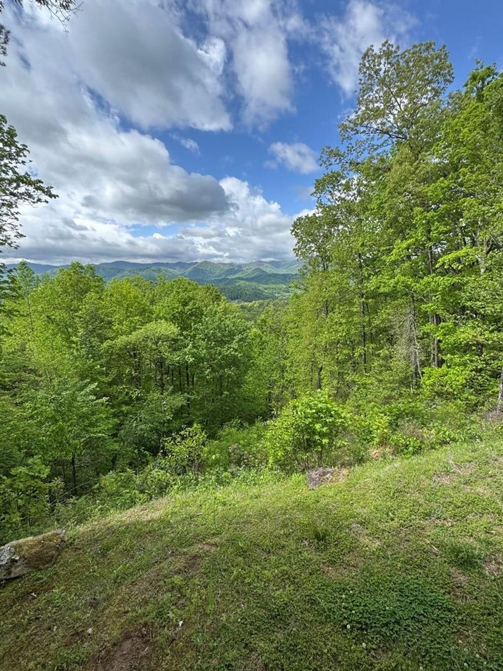 Photo of 51 Cooper Farm Road, Whittier, NC 28789 (MLS # 26047059)