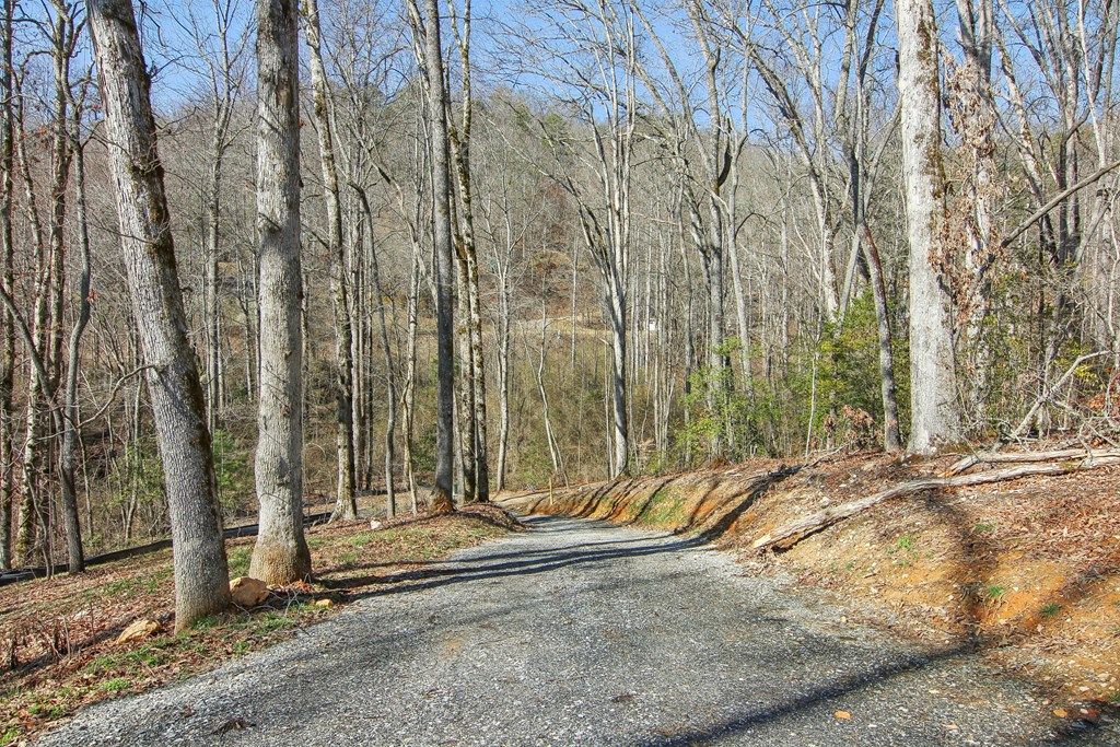 Photo of 210 Oak Grove Rd, Bryson City, NC 28713 (MLS # 26041865)