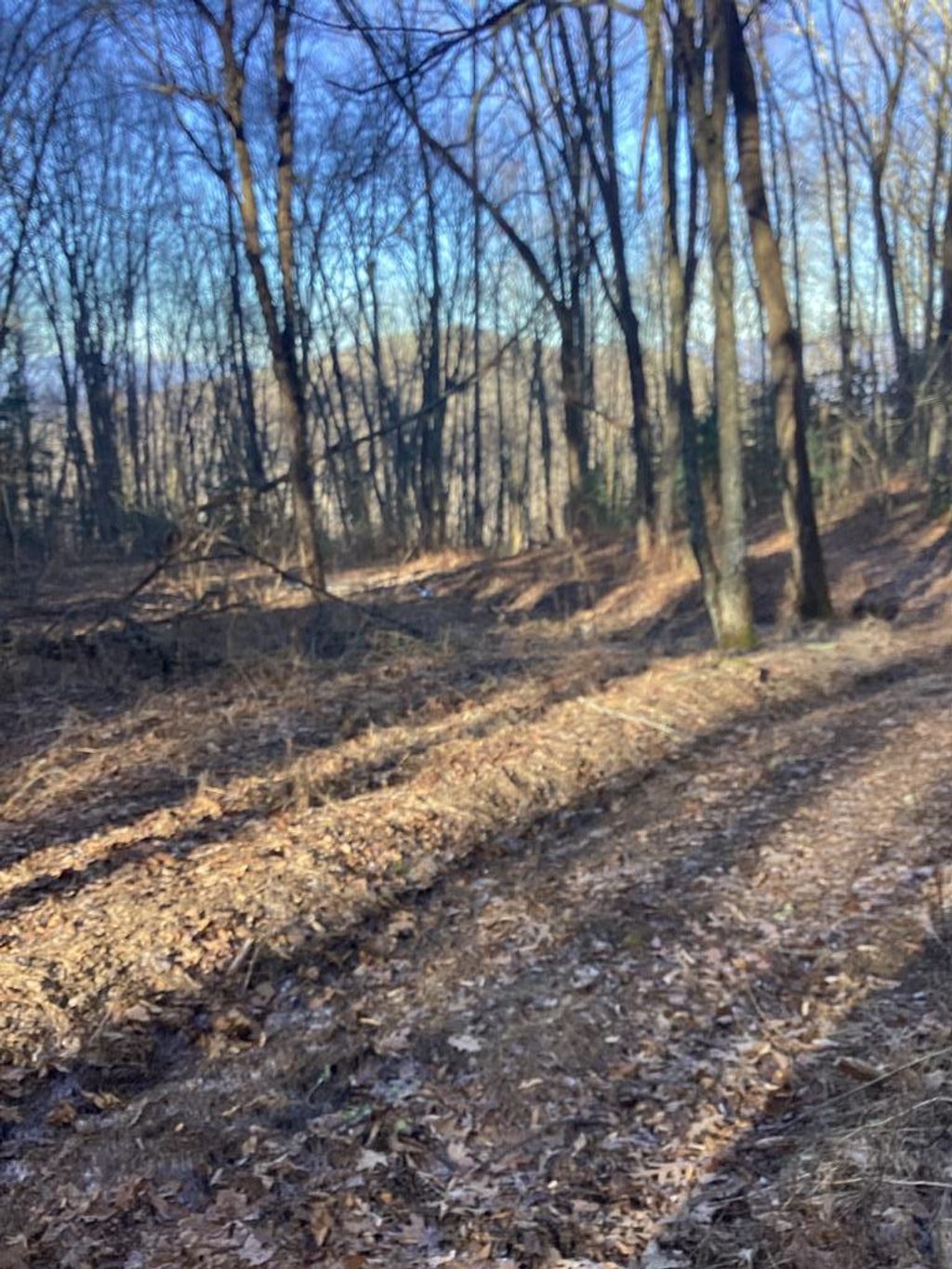 Photo of 0 Frye Mountain, Bryson City, NC 28713 (MLS # 26042980)