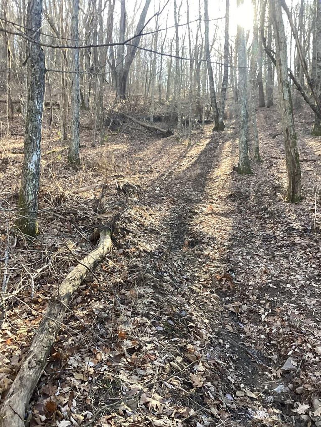 Photo of 0 Frye Mountain, Bryson City, NC 28713 (MLS # 26042980)